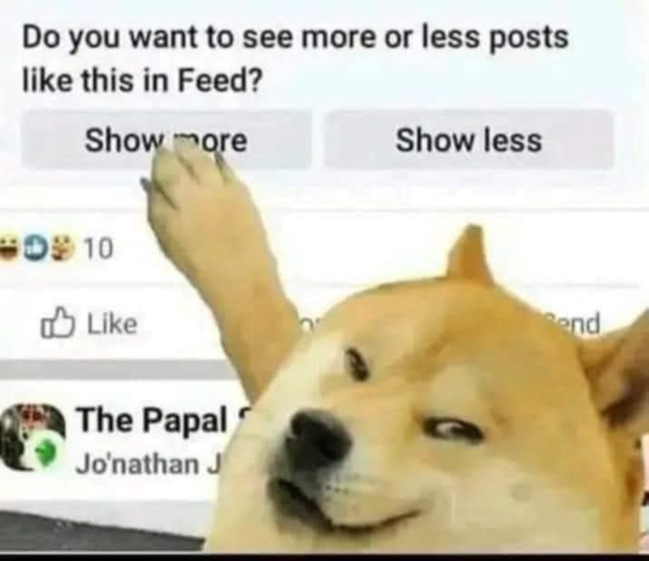 This meme features a screenshot of a Facebook post asking users if they want to see more or fewer posts in their feed. The image is accompanied by a picture of a dog with a confused expression, as if it's asking "why do I even have to choose this?" The text "Show more" and "Show less" are likely to be displayed in a dropdown menu or a pop-up window, but the meme uses a humorous image of a dog to convey the annoyance of making such a choice.